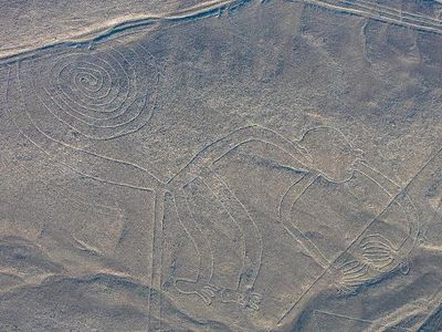 What are the Nazca Lines?