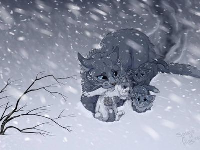 Why did Bluestar give up Mistyfoot and Stonefur?