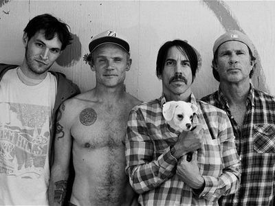 Are the red hot chili peppers gay ?. This is a poll done by google website.