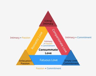 What is 'companionate love' typically linked to?