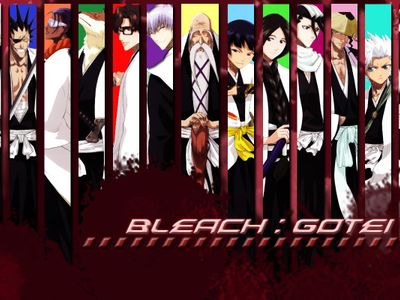 who is !not! a !full! soul reaper