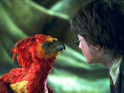 In which Harry Potter book is Fawkes the phoenix introduced?