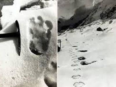 Which expedition in 1951 found and photographed tracks believed to belong to a Yeti?