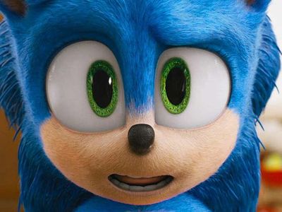 Sonic the hedgehog