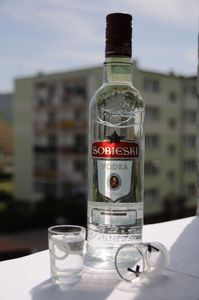 Straight vodka because i couldnt think of what else people ate in slavic  countries