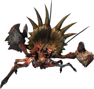 Daimyo Hermitaur