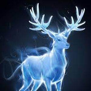 Stag