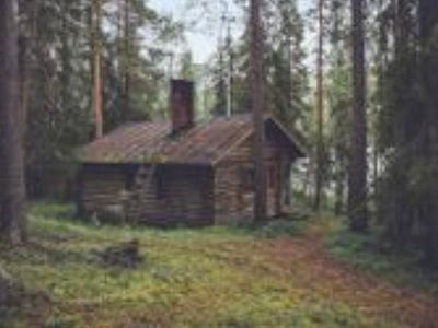 A cabin in the woods