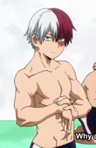 Todoroki