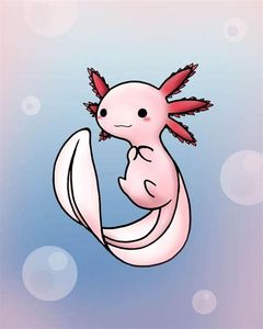 An Axolotl!