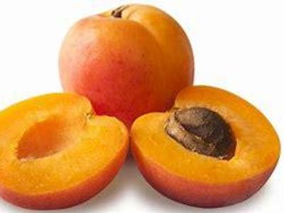 Apricot