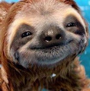 Sloth