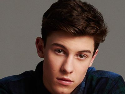 shawn Mendes: stitches