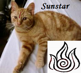 Sunstar (Warriors)