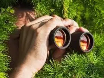 Spying Spying