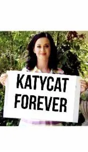 katycat katycat