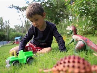 Child who deployed his toy monster truck on neighbor's property arrested for acts of domestic terorism