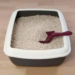 Cats Are Gross. Cats Are Gross.