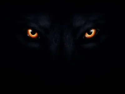A Person that was once thought to be a Monster A Person that was once thought to be a Monster