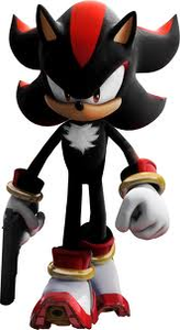 Shadow the Hedgehog.