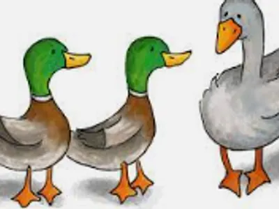 duck duck goose duck duck goose