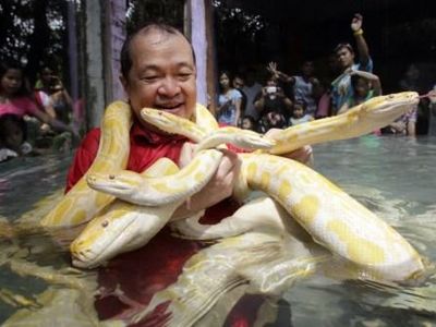 Ophidiophobia: The fear of snakes