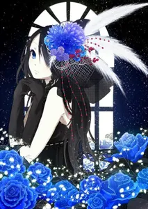 Sapphire (midnight Cinderella) Sapphire (midnight Cinderella)