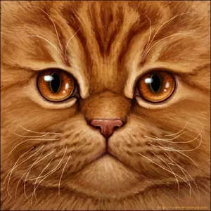 Medicine Cat Apprentices Medicine Cat Apprentices