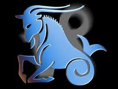 Capricorn Capricorn