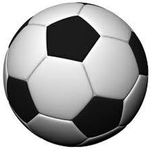 Free Verse: Soccer