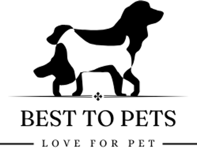 BestToPets: Elevating Pet Care Beyond Boundaries