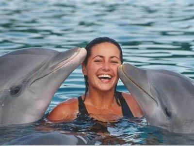 Swim with dolphins