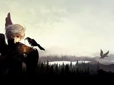 Trent Stormfall Trent Stormfall