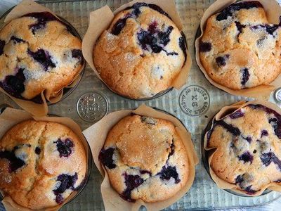 Blueberrylicous blueberry muffins (@BlueTheQuizWhiz97)