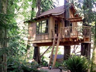 Sleep in a tree house