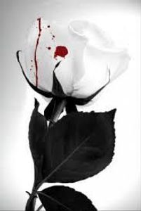 Death_Rose