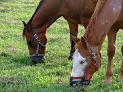 perrieedwards1's Photo perrieedwards1's Photo