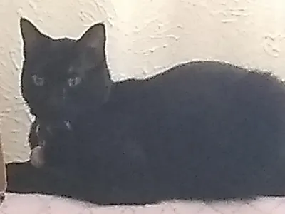 The.Ice.Is.Melting's Photo The.Ice.Is.Melting's Photo