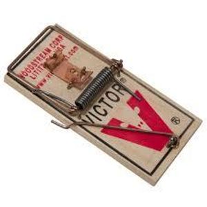 these were the mouse traps i played with