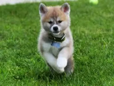 xKearax's Photo xKearax's Photo