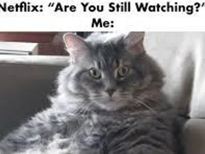 Thatlocalfangirl's Photo Thatlocalfangirl's Photo