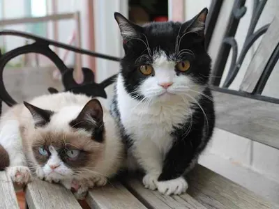 SenpaiDawn's Photo SenpaiDawn's Photo