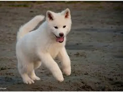 xKearax's Photo xKearax's Photo