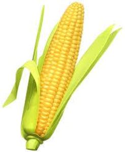 Corn is tasty