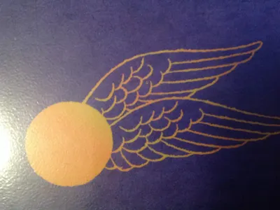 swiftwolfgamer's Photo swiftwolfgamer's Photo