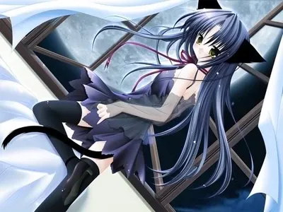 Tariyukimew's Photo Tariyukimew's Photo