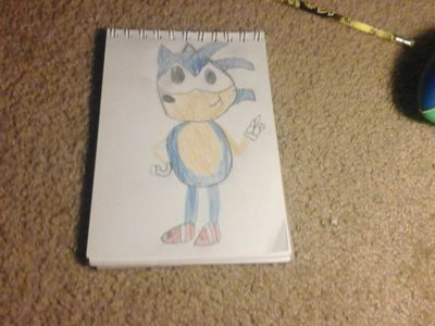 The drawing of sonic