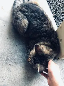 Toxic._.MoonMaker Toxic._.MoonMaker