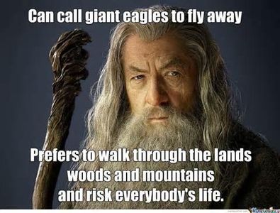 WHY GANDALF WHY?