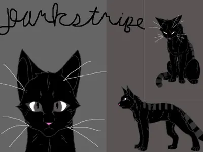 Blackstripe Blackstripe